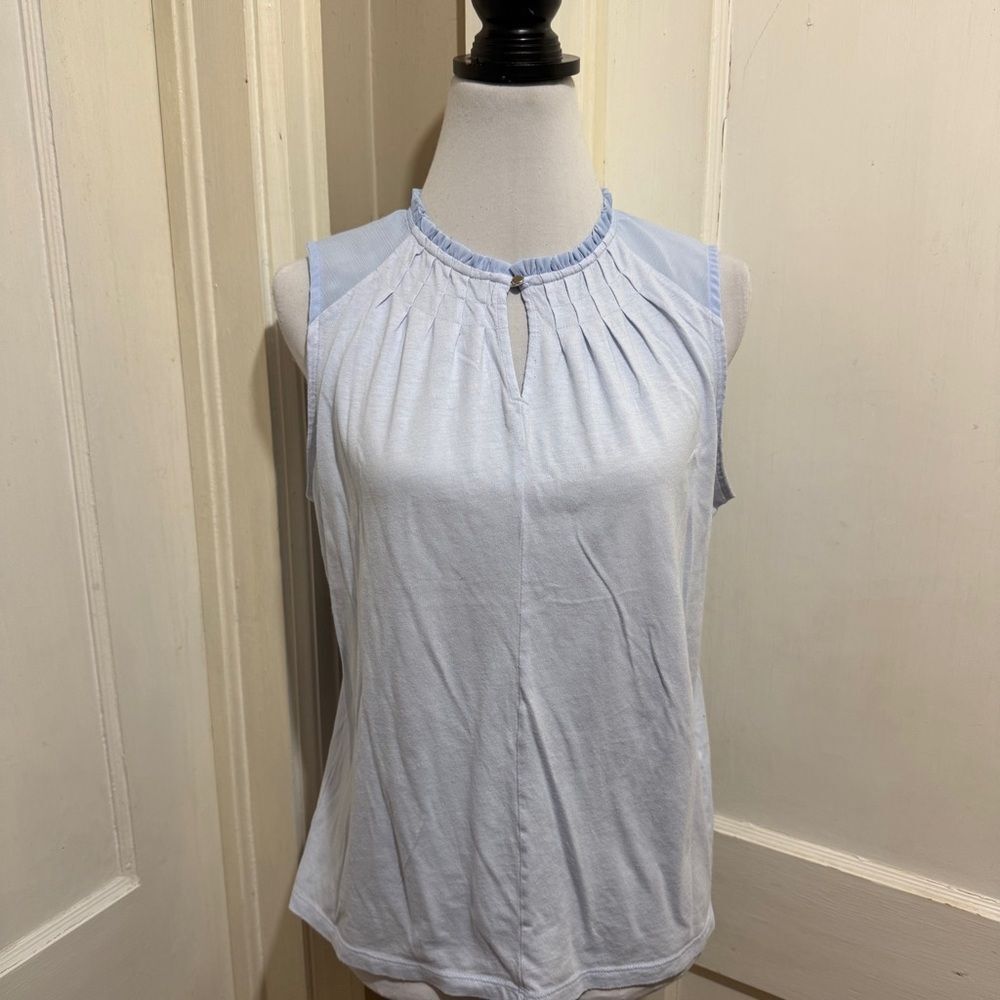 Banana Republic Light Blue Ruffled Top